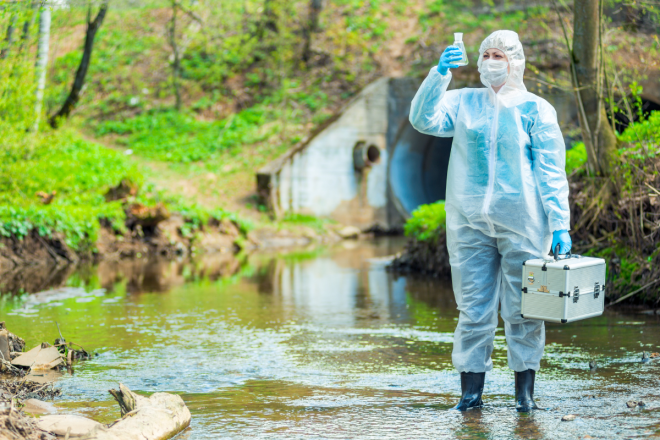 WordPress Images_Feature (40)