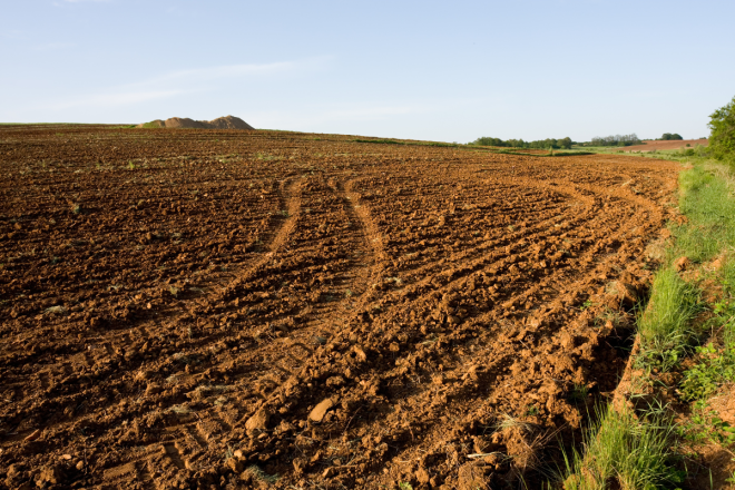 WordPress Images_Feature (41)